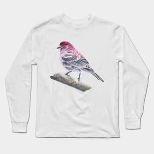 House Finch bird painting (no background) Long Sleeve T-Shirt